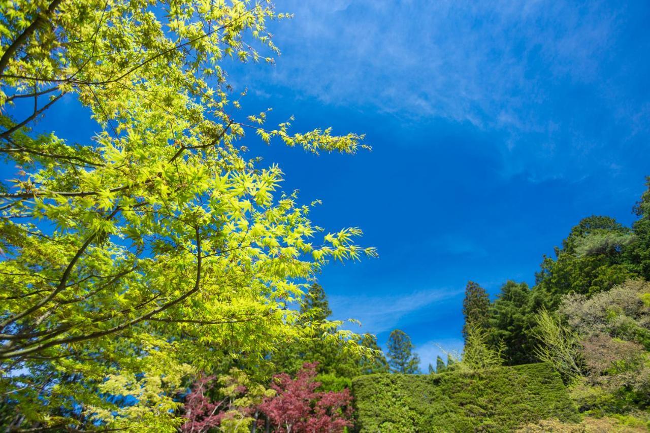 Sojiin Otel Koyasan Dış mekan fotoğraf